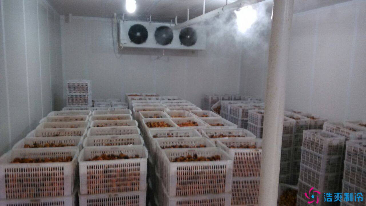 1000吨柿子保鲜库