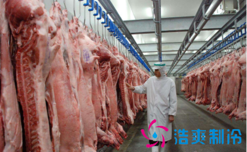 北京1000平米肉类冷库