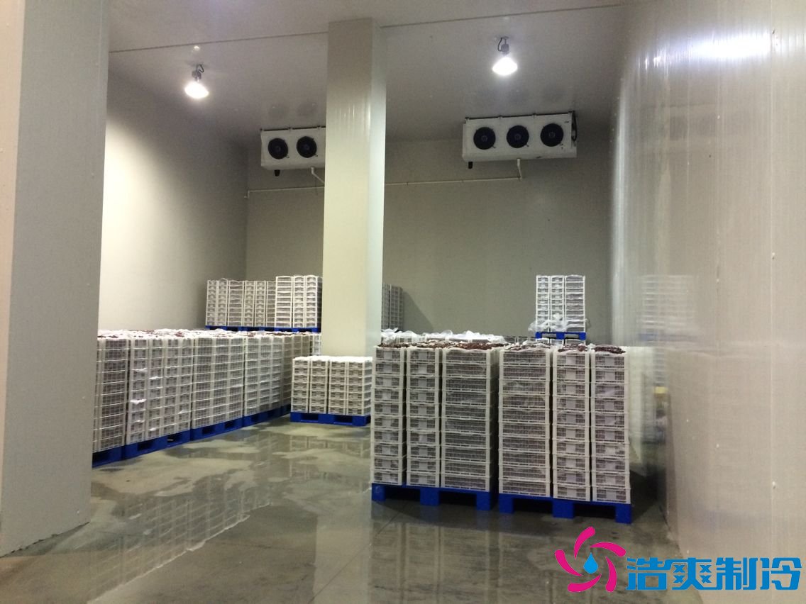 上海100平米多温火锅店冷库（餐饮冷藏、冷冻库）建造成本多少