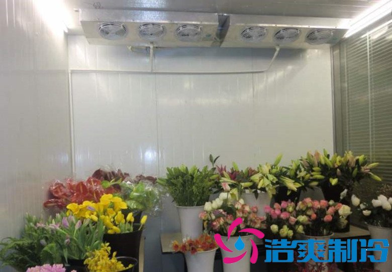 上海500㎡鲜花低温冷藏库工程造价多少钱一平米