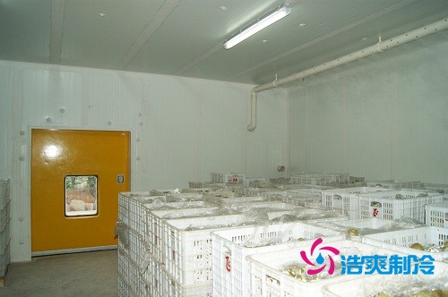 图示：浩爽制冷为蜜之源果业建造的柑橘气调冷库