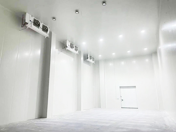 图示为西郊国际冷库建造内景图