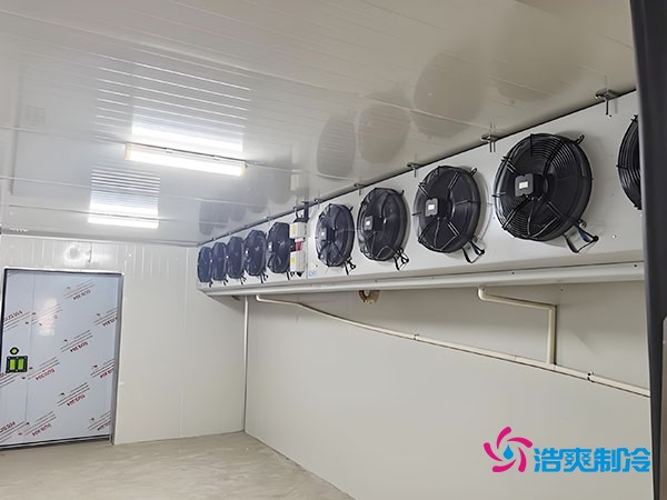 冷冻库建设每平方米的造价是多少？