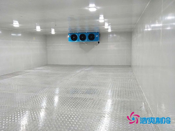 建造100平米-60℃存储金枪鱼的超低温冷库造价多少钱？