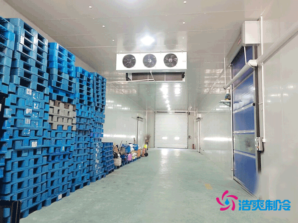 建造一个800平方米的食品冷库需要多少费用呢？