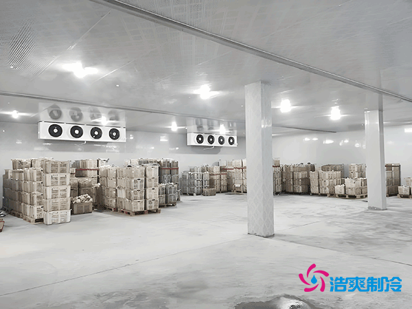 低温冷冻库造价指南，如何精准预算冷冻库建造成本？