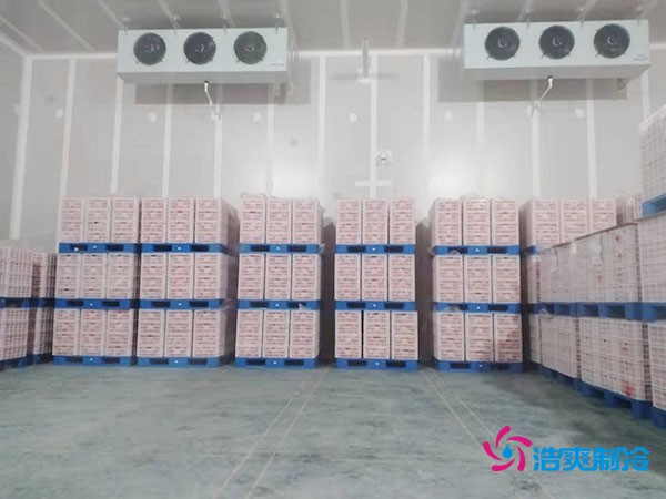 气调冷库建造多少钱