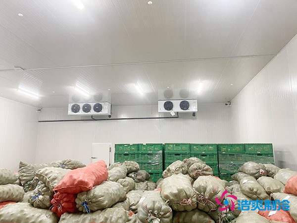 建造一个面积为100平方米的香菇保鲜库造价需要多少费用？