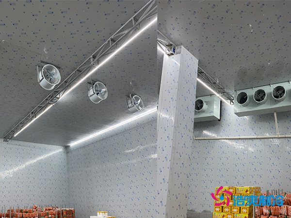 2000平冷库造价揭秘：这些因素让你多花几十万！