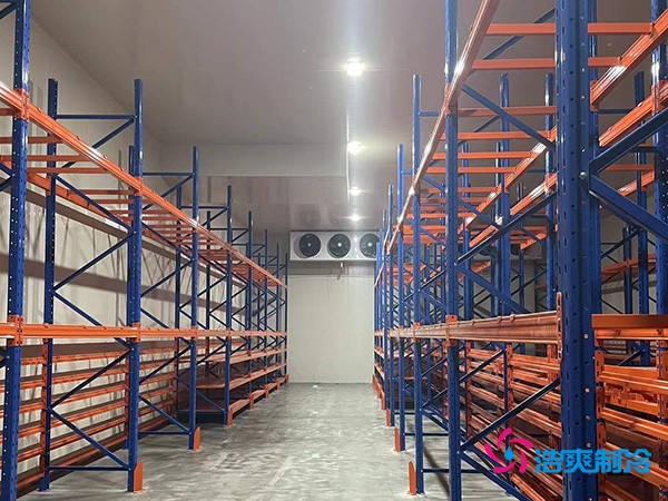 建中型冷库要花多少钱？这些关键因素你必须知道-浩爽制冷