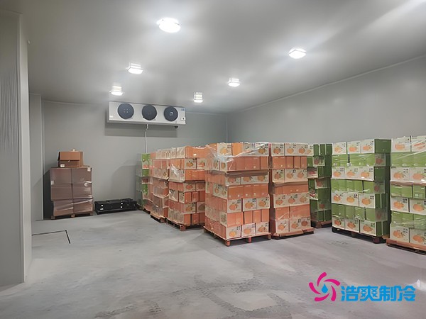 1000吨果蔬保鲜库造价揭秘，节省成本就靠这几点！