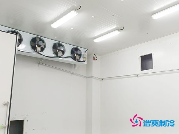 上海小型冷库造价揭秘！2万起真的靠谱吗？