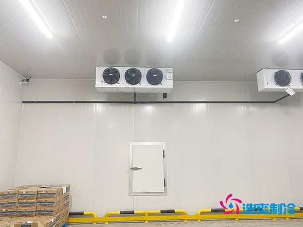 上海小型冷库造价揭秘！2万起真的靠谱吗？