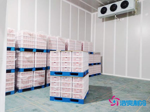 上海市青浦区水果保鲜冷库安装价格概览