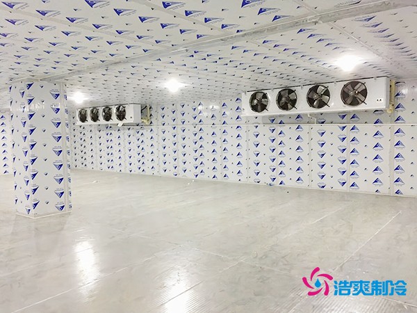 100吨橙子保鲜冷库造价