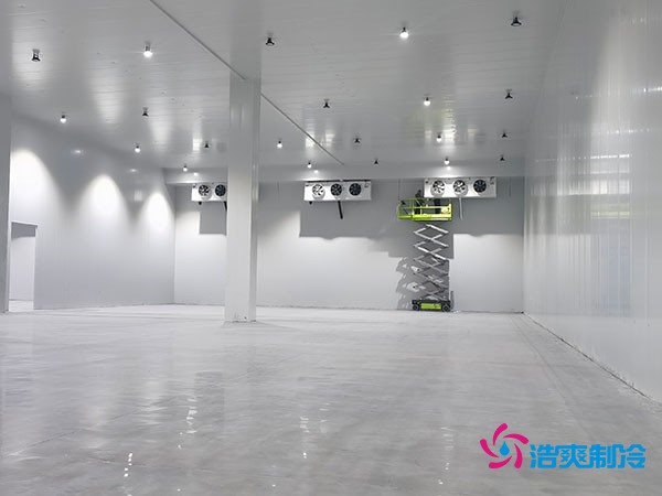 5000平大型冷库建造成本