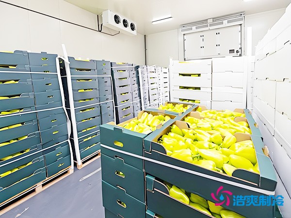 气调保鲜冷库造价