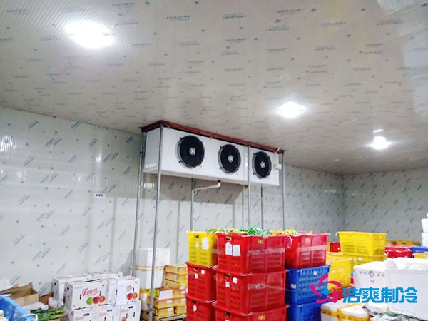 水果冷库造价